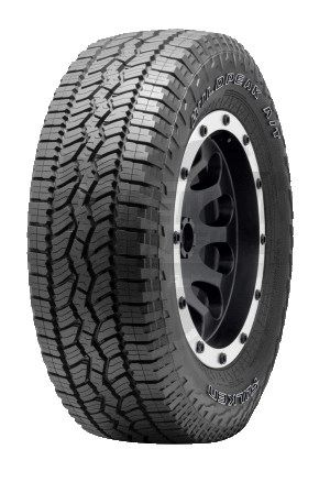 Falken Wildpeak A/T AT3WA 205 R16