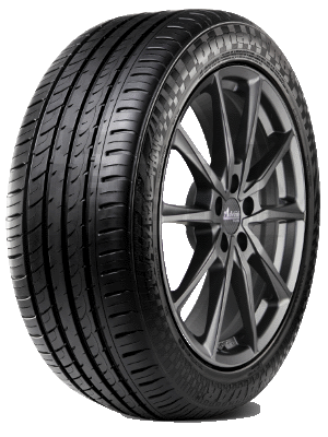 Radar Dimax (R8+) 295/30 R22